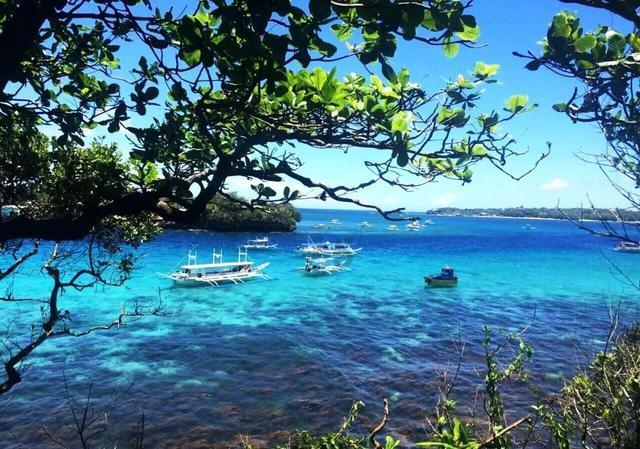 海之号角神秘海怪